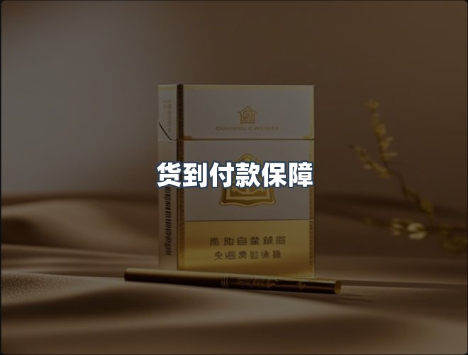 服务优势